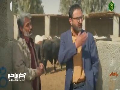 دکتر اومده شهر و آباد کنه!
