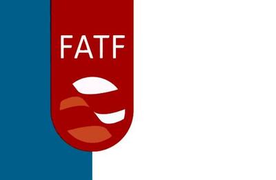معاون وزیر اقتصاد: مخالفان FATF دلسوزان نا آگاه هستند