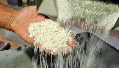 پیش‌بینی افزایش تولید و کاهش ۱۱ درصدی قیمت جهانی برنج