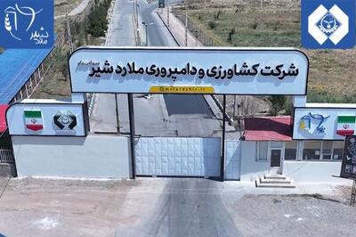 ملاردشیر با افزایش سرمایه چند هزار میلیاردی به استقبال توسعه می‌رود