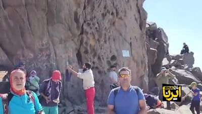 کوهنوردان خرس سبلان را از طبیعت حذف کردند
