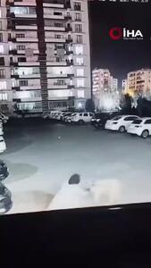 فریادهای بی‌امان زن جوان برای نجات فرزندش از حمله سگ!