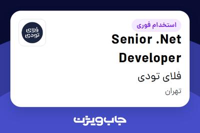 استخدام Senior .Net Developer در فلای تودی