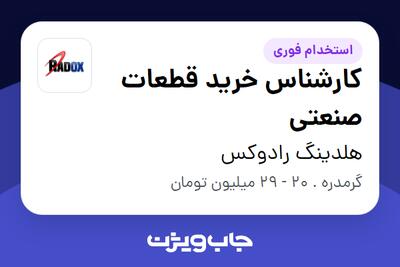 استخدام کارشناس خرید قطعات صنعتی - آقا در هلدینگ رادوکس
