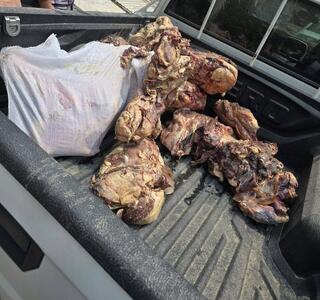 جمع‌آوری ۱۲۰ کیلو گوشت فاسد در بندرعباس
