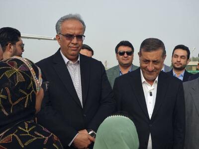 معاون اجرایی رئیس جمهور وارد سیستان و بلوچستان شد