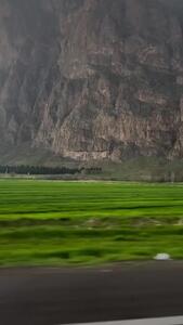 بیستون زیبا و اسرار آمیز + فیلم