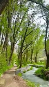 طبیعت زیبای روستای شهرستانک + فیلم