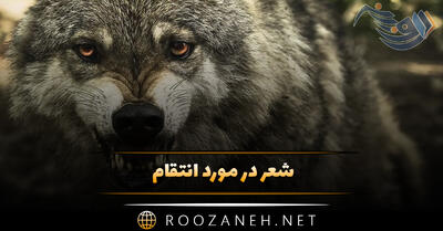 شعر در مورد انتقام؛ گلچین اشعار سنگین درباره انتقام گرفتن و تقاص پس دادن