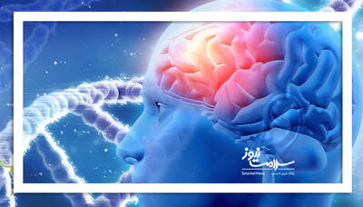 کاهش یک پروتئین در مغز، پیری را به عقب برمی‌گرداند