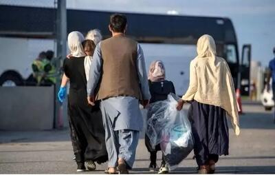 اقدام گسترده در یزد؛ هزاران تبعه غیرمجاز از کشور اخراج شدند