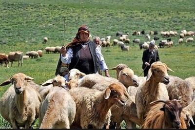 ۹۸ میلیارد تومان تسهیلات کم‌بهره به عشایر گیلان پرداخت شد
