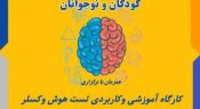 آغاز ثبت‌ نام کارگاه تخصصی «تست هوش وکسلر» در جهاددانشگاهی استان مرکزی