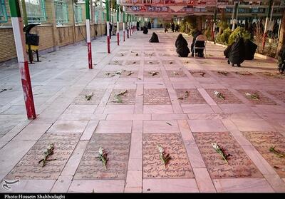 ادای احترام معاون وزیر تعاون به مقام شامخ شهدا- فیلم فیلم استان تسنیم | Tasnim