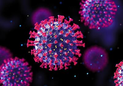 روش‌های انتقال ویروس HPV/ تزریق واکسن به معنی مصونیت کامل نیست - تسنیم