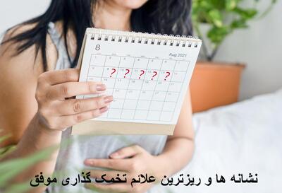 نشانه ها و ریزترین علائم تخمک گذاری موفق زنان | از کجا بفهمم تخمک آزاد شده؟