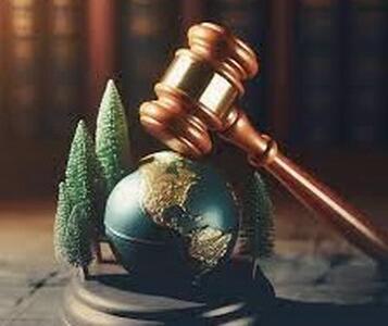 دیپلماسی کافی نیست، حقوق‌دانان فعال‌تر شوند