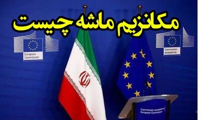 مکانیسم ماشه چیست و چرا اهمیت دارد؟ | اقتصاد24
