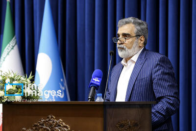 کمالوندی: بازرسان آژانس بر تعویض سوخت نیروگاه اتمی بوشهر نظارت می‌کنند