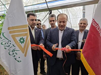 بهره‌برداری از ۹۰ طرح اقتصادی صندوق کارآفرینی یزد به مناسبت هفته دولت