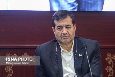 زنجان ظرفیت درخشان ورزش قهرمانی و همگانی کشور را دارد