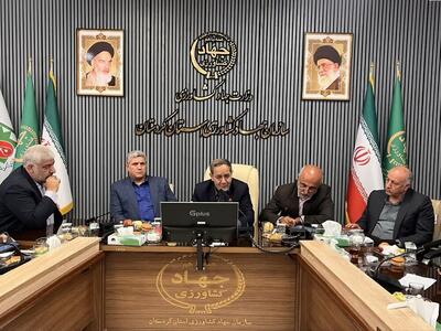 تشکل‌های کشاورزی باید مانع خام‌فروشی شوند