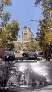 خیابان ولیعصر طی 8 دهه
