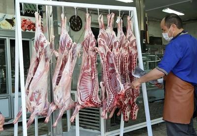قیمت دام زنده به ثبات رسید؛ گوشت قرمز چرا گران می‌شود؟