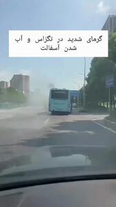 گرمای شدید در تگزاس / از سوختن پای حیوانات تا نمیرو زدن کف خیابان+ فیلم
