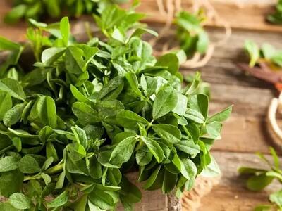 مصرف روزانه این سبزی برای دیابتی ها معجزه می‌کند | راز کاهش قند خون فاش شد