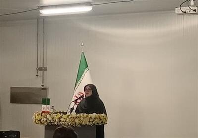 فرهنگ سرمایه‌گذاری در کشور هنوز جا نیفتاده است - تسنیم