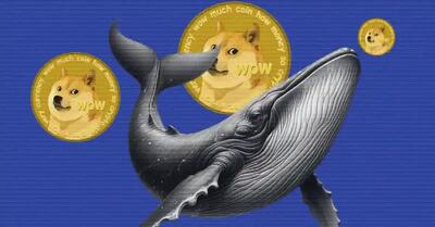 ایستادگی نهنگ‌ها در برابر ریسک سقوط شدید دوج‌کوین
