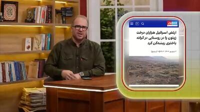 دشمنی عجیب اسرائیل با درخت‌های فلسطین + فیلم