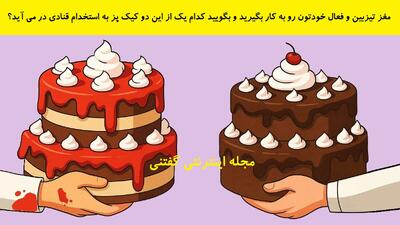 مغز تیزبین و فعال خودتون رو به کار بگیرید و بگویید کدام یک از این دو کیک پز به استخدام قنادی در می آید؟
