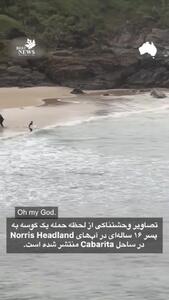 23 کشته و 38 زخمی در حمله موشکی شبانه روسیه به کی‌یف + فیلم و عکس