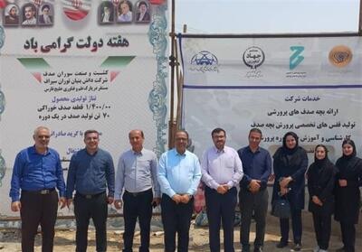 اقتصاد دریا‌پایه در اولویت برنامه‌های فرمانداری بوشهر قرار گرفت - تسنیم