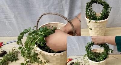 تزئین گلدان گل طبیعی در خانه به روشی آسان و زیبا!