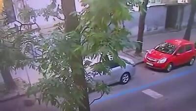 رئیس سابق پارلمان اوکراین به ضرب گلوله کشته شد