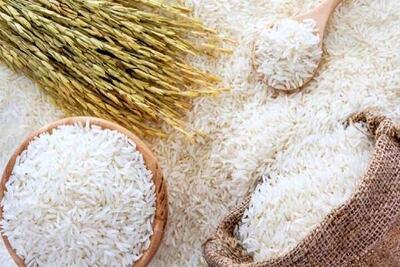 کاهش ۳۵ درصدی قیمت برنج | برنج در بازار چقدر ارزان شد؟