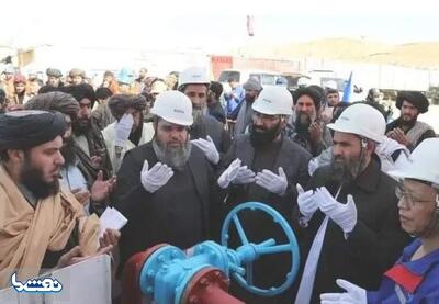 توافق نفتی طالبان و چین از هم پاشید | نفت ما