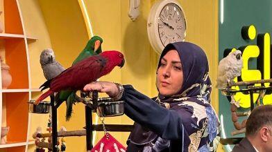 (فیلم) گلایه المیرا شریفی مقدم از قیمت خیار: موز 118 هزار تومان، بعد اونوقت خیار 100 هزار تومان؟!