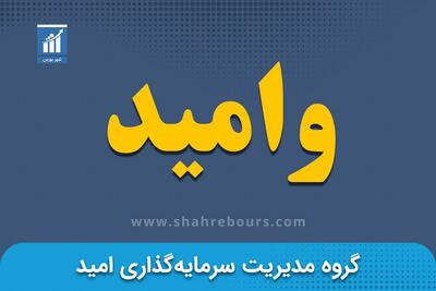 رشد ۶۰ درصدی درآمد سرمایه گذاری وامید در مرداد ۱۴۰۴