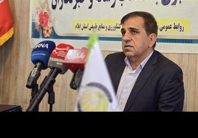 ایلام پیشرو در تولید بذرهای استراتژیک/ تولید 98 درصد بذرهای اصلاح شده در استان - تسنیم