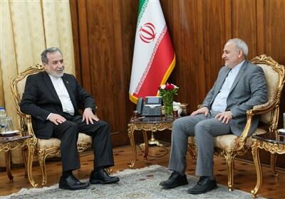 دیدار سفیر جمهوری اسلامی ایران در پاکستان با عراقچی - تسنیم