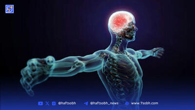 هزینه ساخت یک انسان ۷۰ کیلوگرمی