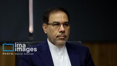 اجرای طرح گلریزان اجتماعی در چند استان/کاهش آسیب‌های اجتماعی وقوع جرایم را کم می‌کند