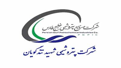  مدیر بازرگانی شرکت پتروشیمی شهید تندگویان منصوب شد