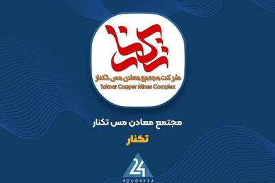 اعمال ناترازی‌ انرژی از تابستان ۱۴۰۴؛ «تکنار» به فکر خرید دیزل ژنراتور افتاد