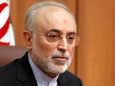 علی‌اکبر صالحی: ایران از زمان شاه ۵۰۰ تن اورانیوم غنی شده ذخیره داشت +ویدیو