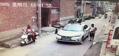 ببینید؛ لحظه زیر گرفته شدن یک سگ خانگی توسط خودرو